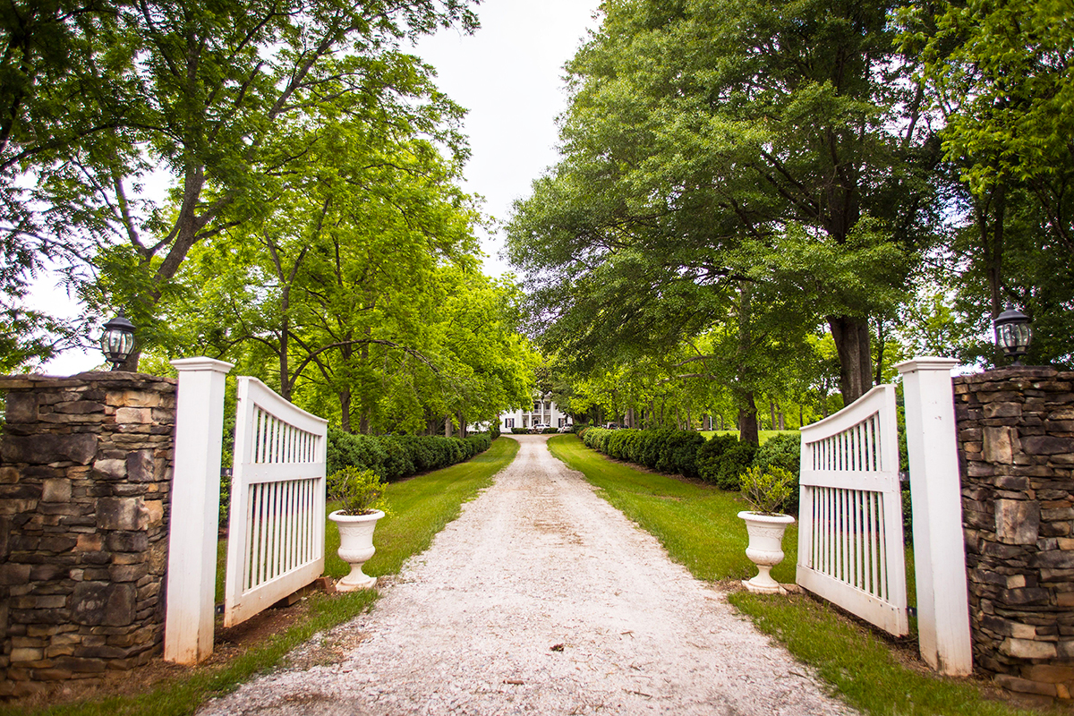 PecanLinedDrivewayNutwood Visit LaGrange